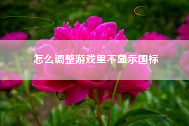 怎么调整游戏里不显示国标