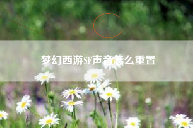 梦幻西游SF声音怎么重置