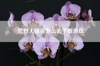 荒野大镖客怎么去下载游戏