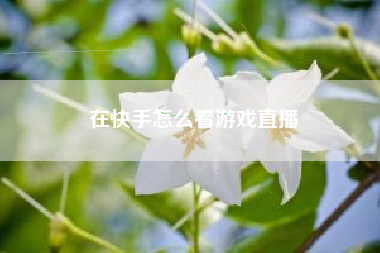 在快手怎么看游戏直播