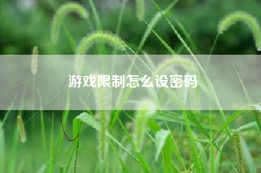 游戏限制怎么设密码