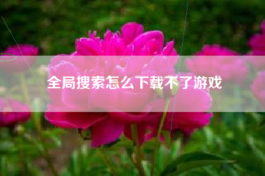 全局搜索怎么下载不了游戏
