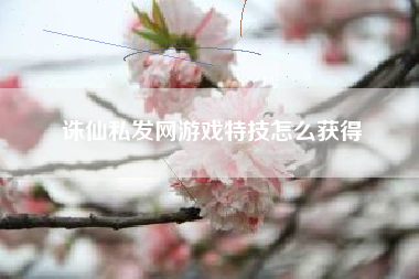 诛仙私发网游戏特技怎么获得