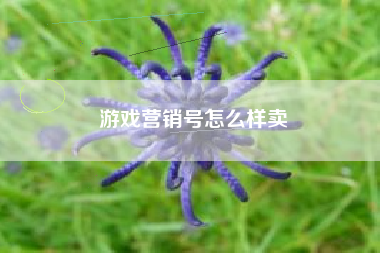 游戏营销号怎么样卖