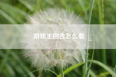 游戏王回合怎么看