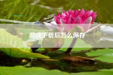 游戏下载后怎么保存