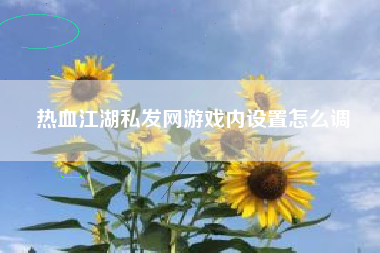 热血江湖私发网游戏内设置怎么调