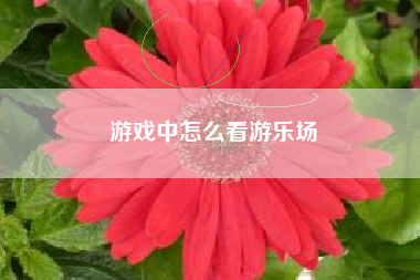 游戏中怎么看游乐场