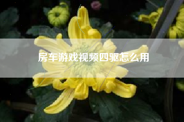 房车游戏视频四驱怎么用