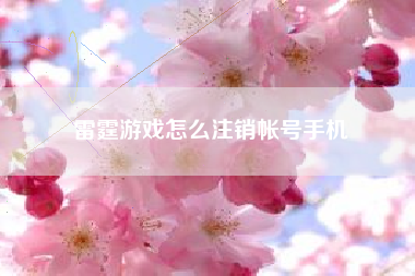 雷霆游戏怎么注销帐号手机