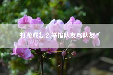 打游戏怎么举报队友骂队友
