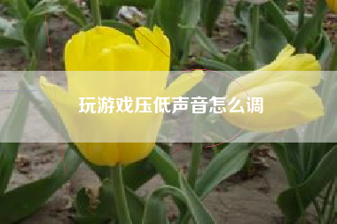 玩游戏压低声音怎么调