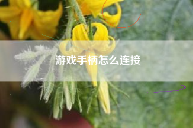 游戏手柄怎么连接