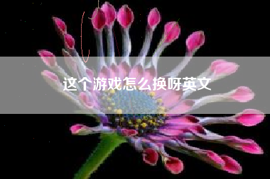 这个游戏怎么换呀英文
