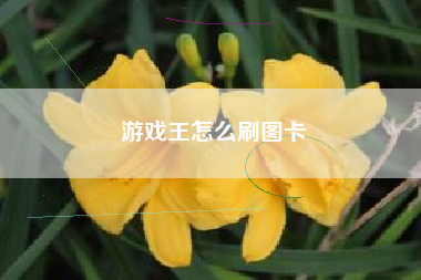 游戏王怎么刷图卡