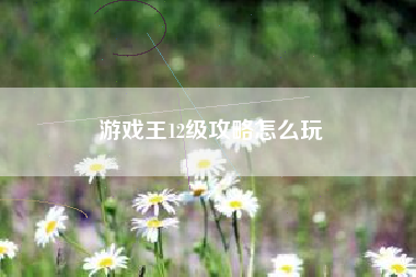 游戏王12级攻略怎么玩