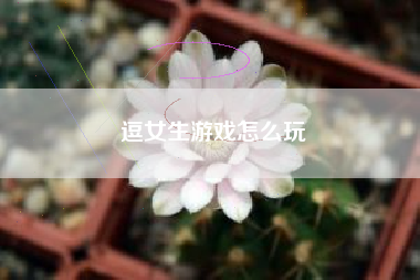 逗女生游戏怎么玩
