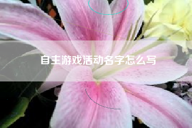自主游戏活动名字怎么写