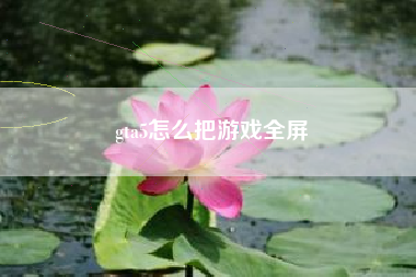gta5怎么把游戏全屏
