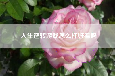 人生逆转游戏怎么样好看吗