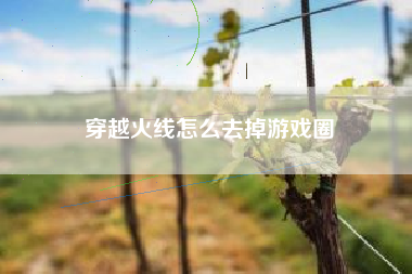 穿越火线怎么去掉游戏圈