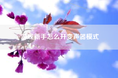 游戏新手怎么开变声器模式