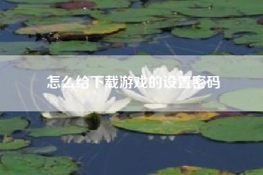 怎么给下载游戏的设置密码