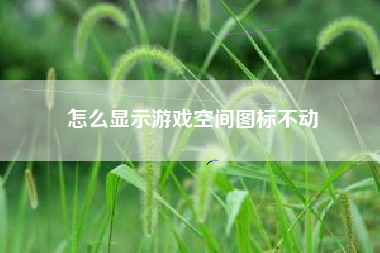 怎么显示游戏空间图标不动