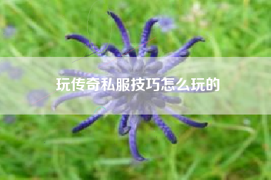 玩传奇私服技巧怎么玩的