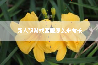 新入职游戏客服怎么来考核