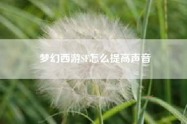 梦幻西游SF怎么提高声音