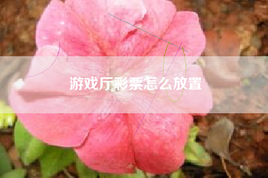 游戏厅彩票怎么放置