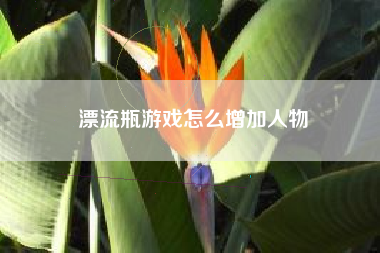漂流瓶游戏怎么增加人物