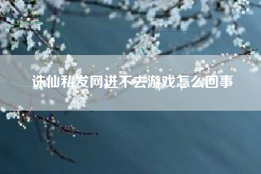 诛仙私发网进不去游戏怎么回事