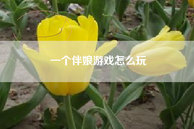 一个伴娘游戏怎么玩