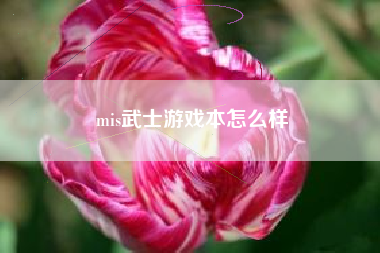 mis武士游戏本怎么样