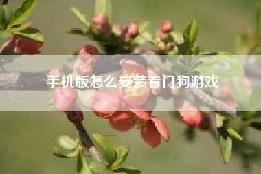 手机版怎么安装看门狗游戏