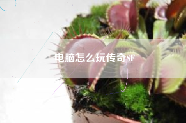 电脑怎么玩传奇SF