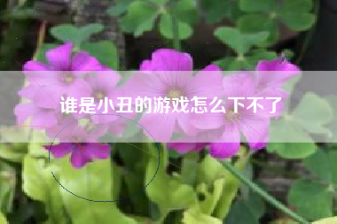谁是小丑的游戏怎么下不了