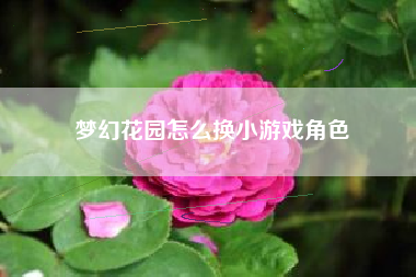 梦幻花园怎么换小游戏角色