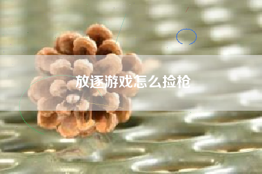 放逐游戏怎么捡枪