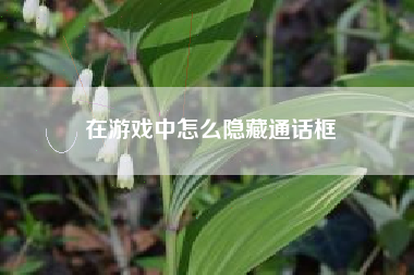 在游戏中怎么隐藏通话框