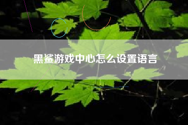 黑鲨游戏中心怎么设置语言