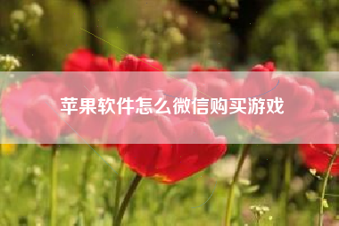 苹果软件怎么微信购买游戏