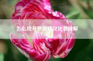 怎么找开罗游戏汉化非破解