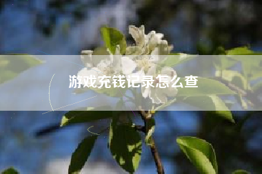 游戏充钱记录怎么查