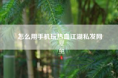 怎么用手机玩热血江湖私发网