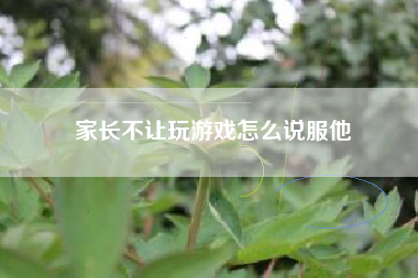 家长不让玩游戏怎么说服他