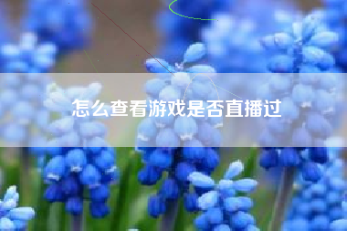 怎么查看游戏是否直播过