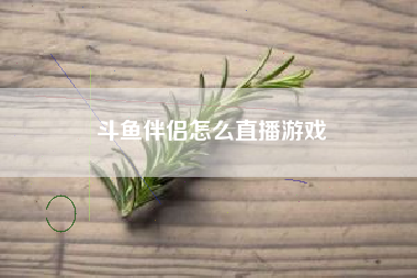 斗鱼伴侣怎么直播游戏